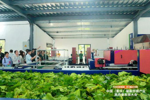 科技創(chuàng)新賦能，推動成渝地區(qū)蠶桑絲綢產(chǎn)業(yè)一體化發(fā)展